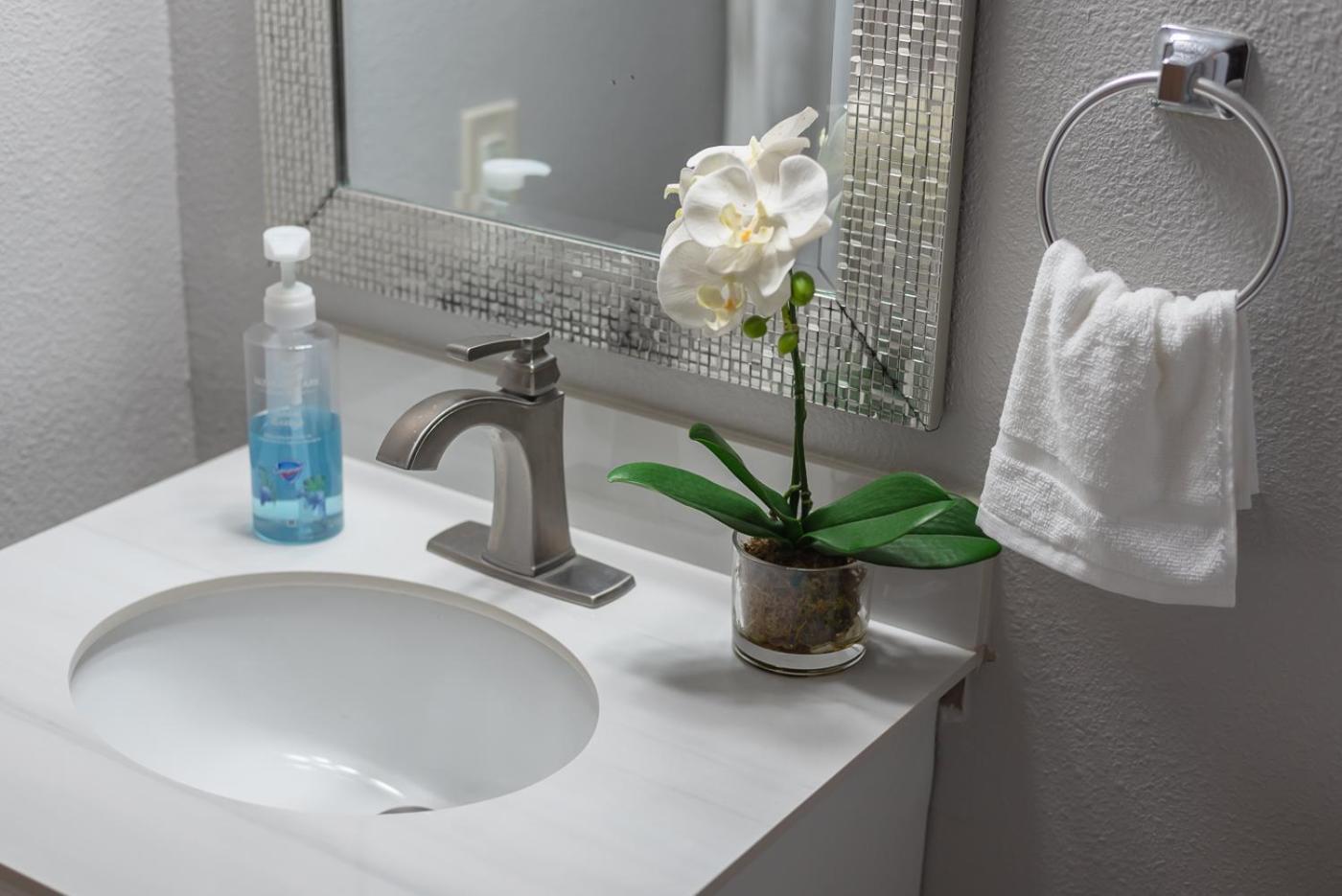 Beautiful Apartment At The Botanical Gardens #1 San Antonio Extérieur photo